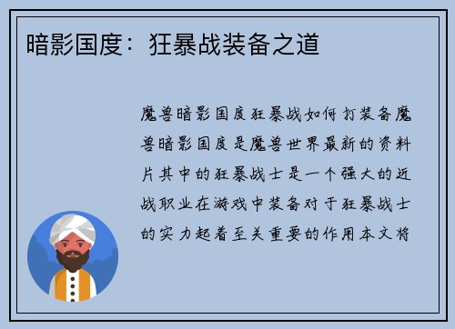 暗影国度：狂暴战装备之道